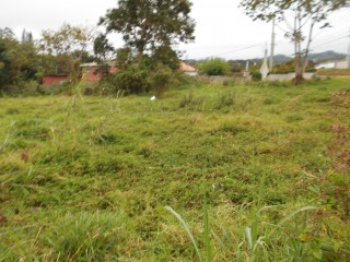 Residential lot For Sale in Mandeville, Manchester Jamaica | [6]