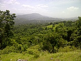 Commercial/farm land For Sale in Prospect, Clarendon Jamaica | [4]