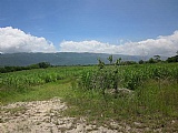 Commercial/farm land For Sale in Braes River, St. Elizabeth Jamaica | [11]