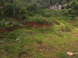 Residential lot For Sale in Balaclava, St. Elizabeth Jamaica | [4]