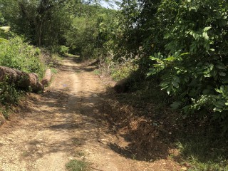 Land For Sale in Negril, Westmoreland, Jamaica