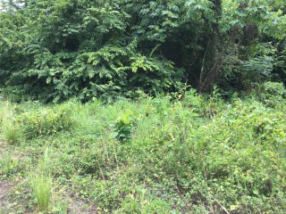 Residential lot For Sale in Fairy Hill, Portland Jamaica | [5]