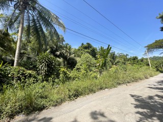 Commercial/farm land For Sale in Mullet Farm, Portland Jamaica | [5]