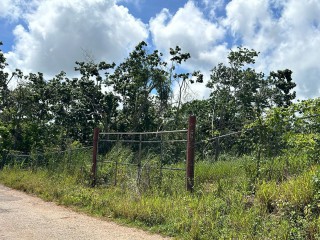 Land For Sale in SNOWDEN MANCHESTER Blenheim, Manchester Jamaica | [2]