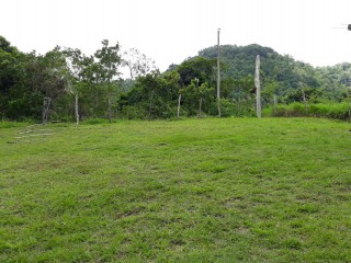 Commercial/farm land For Sale in BURNT GROUND, Hanover Jamaica | [2]