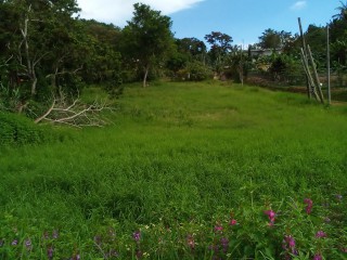 Residential lot For Sale in New Green, Manchester, Jamaica