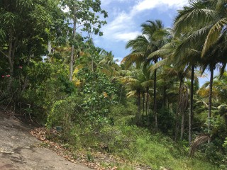 Residential lot For Sale in Sandy Bay, Hanover Jamaica | [13]