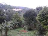 Residential lot For Sale in Belvedere Red Hills, Kingston / St. Andrew Jamaica | [5]