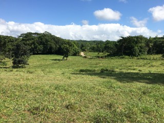 Residential lot For Sale in Linstead, St. Catherine Jamaica | [9]