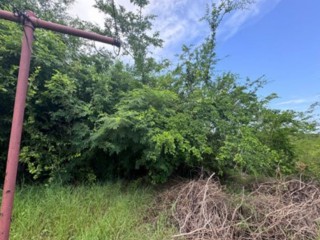 Space For Sale in Freetown, Clarendon Jamaica | [1]