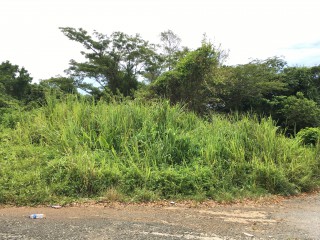 Residential lot For Sale in Fairy Hill, Portland Jamaica | [2]