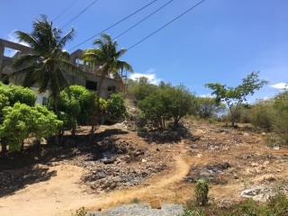 Residential lot For Sale in Off Sligoville Main Road, St. Catherine Jamaica | [4]