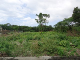 Residential lot For Sale in Pomfret, St. Thomas Jamaica | [1]