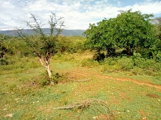 Land For Sale in Watchwell, St. Elizabeth Jamaica | [3]