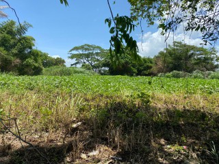 Residential lot For Sale in Bushy Park, St. Catherine, Jamaica