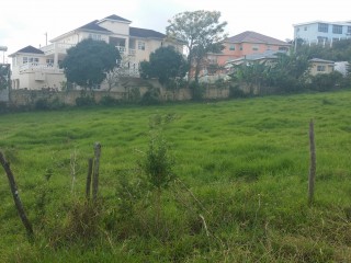 Residential lot For Sale in Mandeville, Manchester Jamaica | [1]