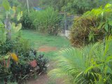 House For Sale in Linstead, St. Catherine Jamaica | [6]