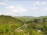 House For Rent in St James, St. James Jamaica | [4]