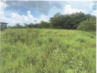 Land For Sale in Palmbrook Estate Lacovia, St. Elizabeth Jamaica | [2]