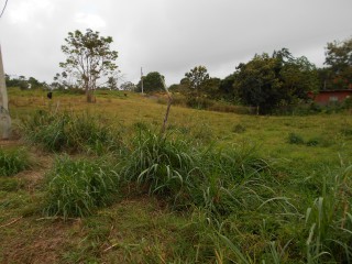 Residential lot For Sale in Mandeville, Manchester Jamaica | [7]