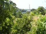 Residential lot For Sale in Grange Hill aka Long Road, Portland Jamaica | [6]