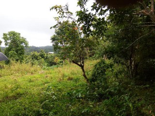 Commercial/farm land For Sale in Bonnie Gate, St. Mary Jamaica | [7]