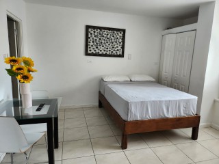 1 bed Apartment For Rent - Donhead Apartment, Kingston / St. Andrew, Jamaica