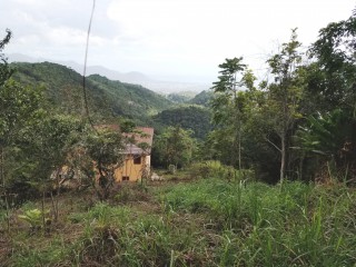 Residential lot For Sale in Red Hills St Andrew, Kingston / St. Andrew Jamaica | [1]