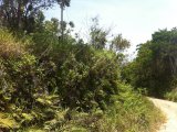 Residential lot For Sale in BAMBOO, St. Ann Jamaica | [4]