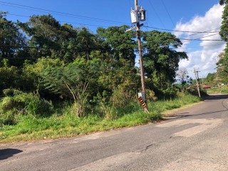 Residential lot For Sale in Mandeville, Manchester Jamaica | [3]