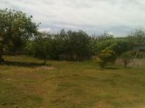 Residential lot For Sale in Galina, St. Mary Jamaica | [1]