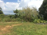 Residential lot For Sale in Mandeville, Manchester Jamaica | [1]