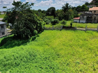 Residential lot For Sale in Mandeville, Manchester Jamaica | [3]