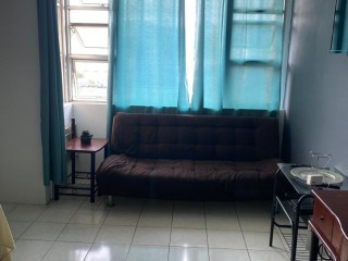 Apartment For Rent in New Kingston, Kingston / St. Andrew Jamaica | [5]