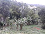 Residential lot For Sale in Belvedere Red Hills, Kingston / St. Andrew Jamaica | [6]