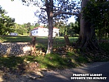 Commercial/farm land For Sale in Robins River, Westmoreland Jamaica | [1]