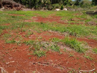 Residential lot For Sale in Top Hill, St. Elizabeth Jamaica | [4]