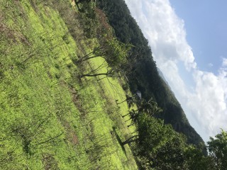 Residential lot For Sale in Linstead, St. Catherine Jamaica | [1]