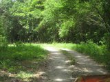 Residential lot For Sale in Anchovy, St. James Jamaica | [8]