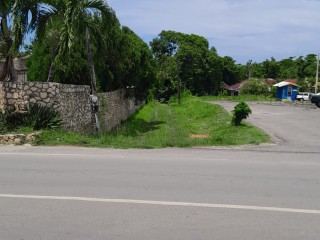 Land For Sale in Hopewell, Hanover Jamaica | [3]