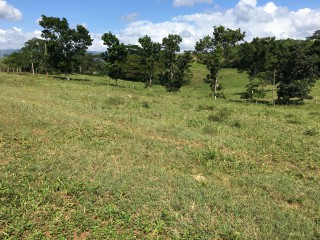 Residential lot For Sale in Linstead, St. Catherine Jamaica | [10]