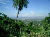 Residential lot For Sale in Jacks Hjll, Kingston / St. Andrew Jamaica | [4]