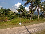 Residential lot For Sale in Linstead, St. Catherine Jamaica | [3]