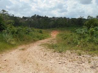 Land For Sale in Rosewell, Clarendon, Jamaica