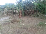 Residential lot For Sale in Buff Bay, Portland Jamaica | [2]