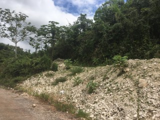 Residential lot For Sale in Albion Estates, Manchester Jamaica | [5]