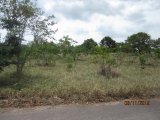 Residential lot For Sale in Junction, St. Elizabeth Jamaica | [10]