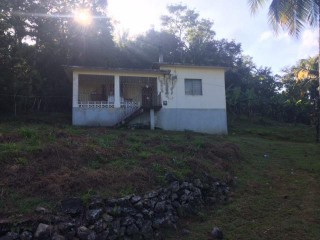 House For Sale in CAMBRIDGE, St. James Jamaica | [5]