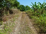 Commercial/farm land For Sale in Chapelton, Clarendon Jamaica | [1]