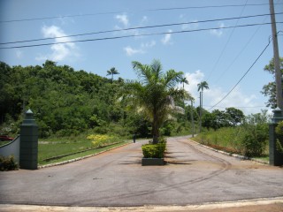 Residential lot For Sale in Albion Estates, Manchester Jamaica | [6]